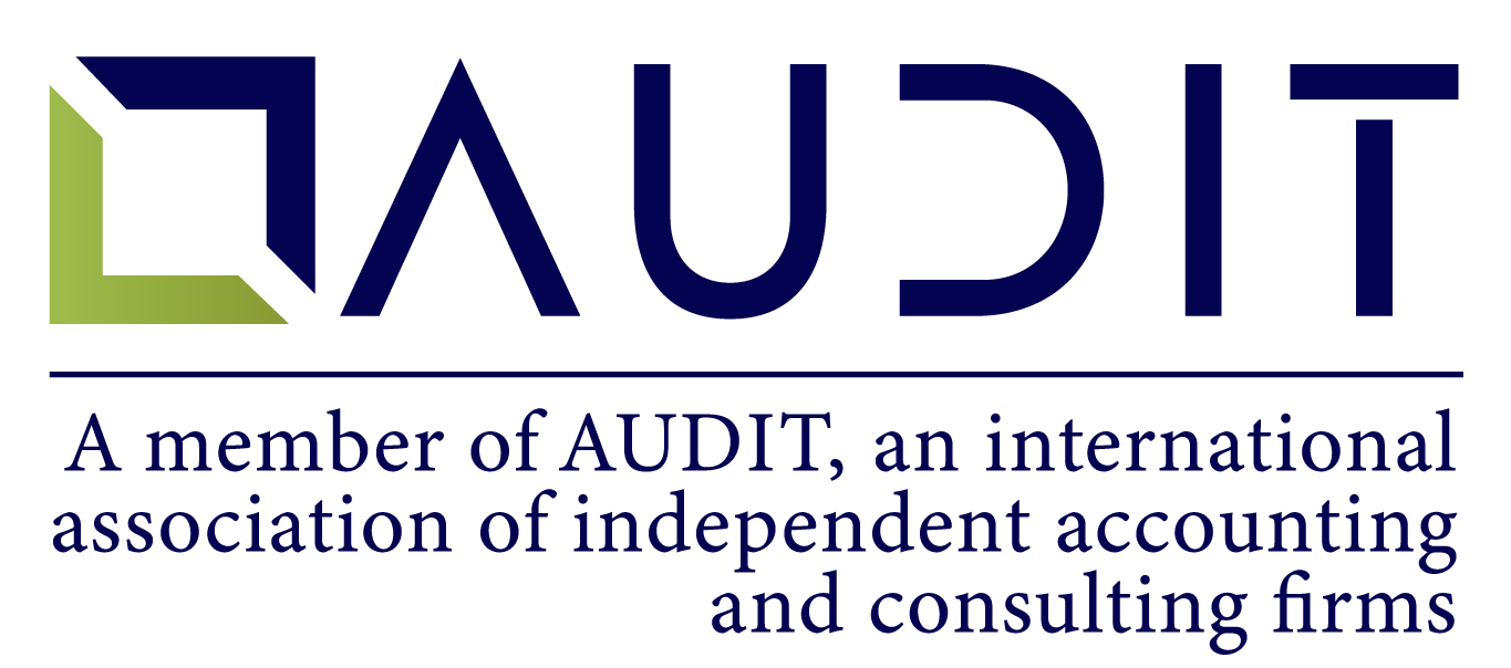 Audit Consulting Group